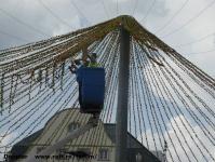 Imagine atasata: Timfloralis - 2015.05.20 - 09.jpg